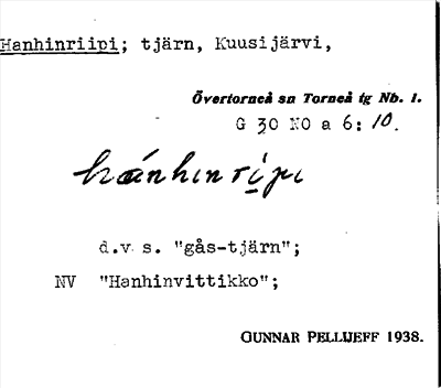 Bild på arkivkortet för arkivposten Hanhinriipi