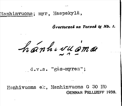 Bild på arkivkortet för arkivposten Hanhinvuoma