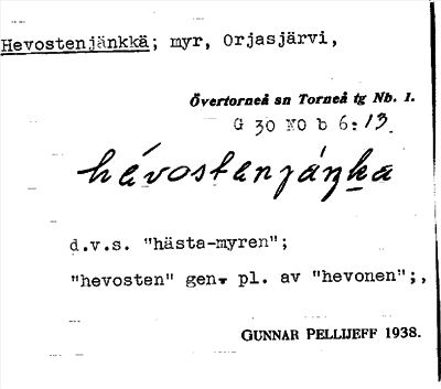 Bild på arkivkortet för arkivposten Hevostenjänkkä