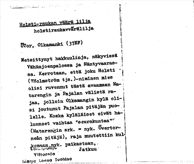 Bild på arkivkortet för arkivposten Holsti-raukan väära lilja