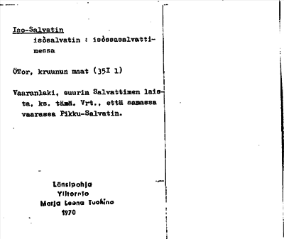 Bild på arkivkortet för arkivposten Iso-Salvatin