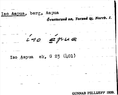 Bild på arkivkortet för arkivposten Iso Aapua