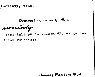 Bild på arkivkortet för arkivposten Isomänty