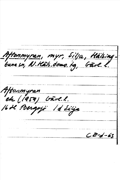 Bild på arkivkortet för arkivposten Aftonmyran