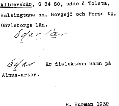 Bild på arkivkortet för arkivposten Allderskär