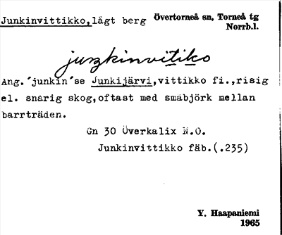 Bild på arkivkortet för arkivposten Junkinvittikko