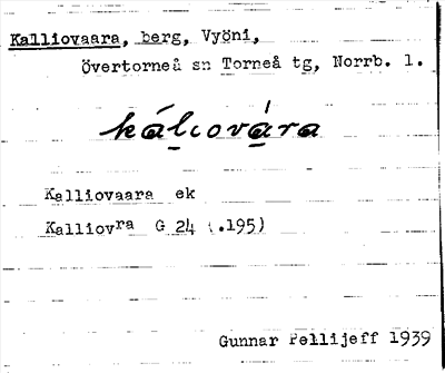 Bild på arkivkortet för arkivposten Kalliovaara