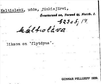 Bild på arkivkortet för arkivposten Kaltiolevä