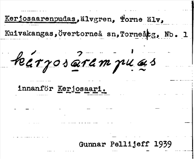 Bild på arkivkortet för arkivposten Kerjosaarenpudas