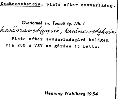 Bild på arkivkortet för arkivposten Kesänavetansia