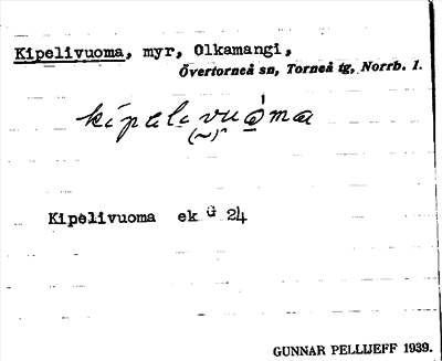 Bild på arkivkortet för arkivposten Kipelivuoma