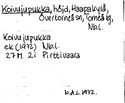 Bild på arkivkortet för arkivposten Koivujupukka