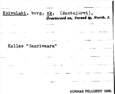 Bild på arkivkortet för arkivposten Koivulaki