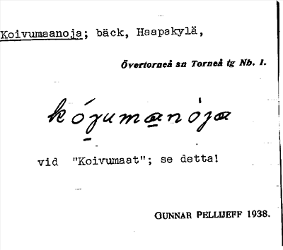 Bild på arkivkortet för arkivposten Koivumaanoja