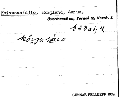 Bild på arkivkortet för arkivposten Koivusaa(d)io