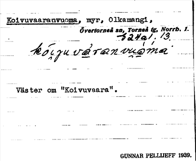 Bild på arkivkortet för arkivposten Koivuvaaranvuoma