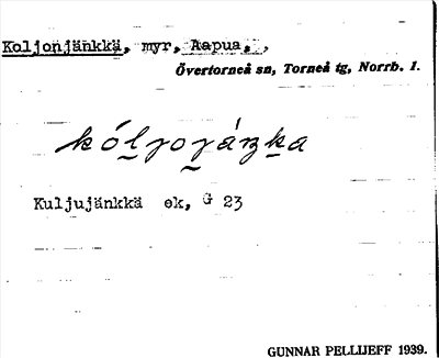 Bild på arkivkortet för arkivposten Koljonjänkkä