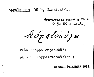 Bild på arkivkortet för arkivposten Koppelonoja
