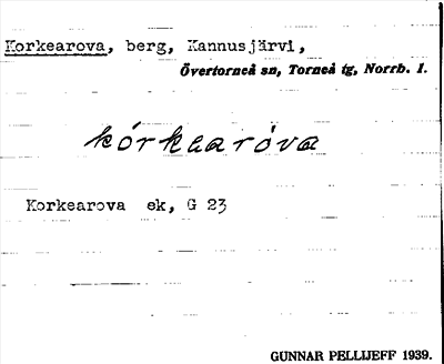 Bild på arkivkortet för arkivposten Korkearova