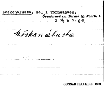 Bild på arkivkortet för arkivposten Koskenalusta