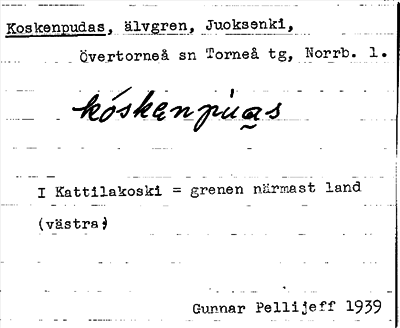Bild på arkivkortet för arkivposten Koskenpudas