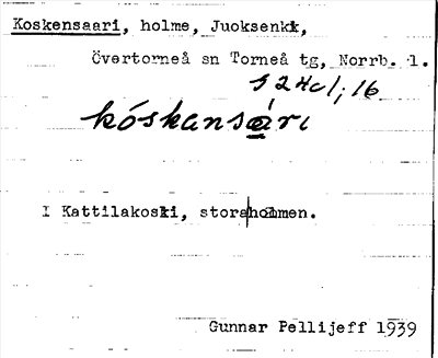 Bild på arkivkortet för arkivposten Koskensaari