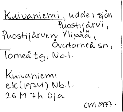 Bild på arkivkortet för arkivposten Kuivaniemi
