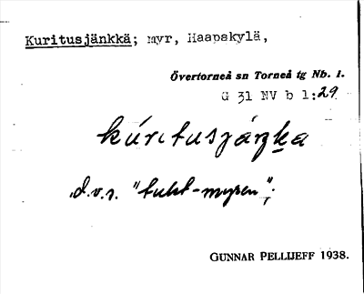 Bild på arkivkortet för arkivposten Kuritusjänkkä
