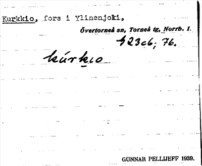 Bild på arkivkortet för arkivposten Kurkkio