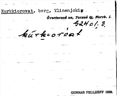 Bild på arkivkortet för arkivposten Kurkkiorovat
