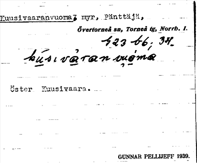 Bild på arkivkortet för arkivposten Kuusivaaranvuoma