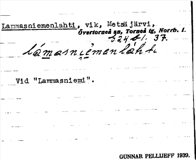 Bild på arkivkortet för arkivposten Lammasniemenlahti