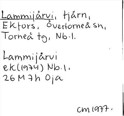 Bild på arkivkortet för arkivposten Lammijärvi