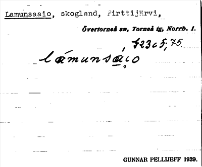 Bild på arkivkortet för arkivposten Lamunsaaio
