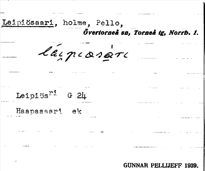 Bild på arkivkortet för arkivposten Leipiösaari