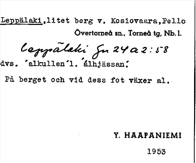Bild på arkivkortet för arkivposten Leppälaki