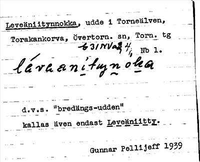 Bild på arkivkortet för arkivposten Leveäniitynnokka
