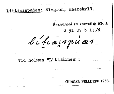 Bild på arkivkortet för arkivposten Littiäispudas