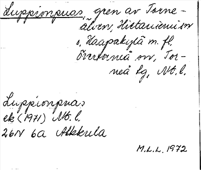 Bild på arkivkortet för arkivposten Luppionpuas