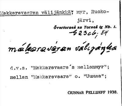 Bild på arkivkortet för arkivposten Makkaravaaran välijänkkä