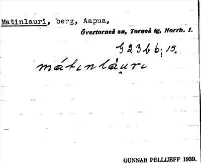 Bild på arkivkortet för arkivposten Matinlauri