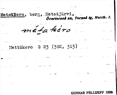 Bild på arkivkortet för arkivposten Metsäkero