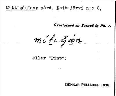 Bild på arkivkortet för arkivposten Mittigården