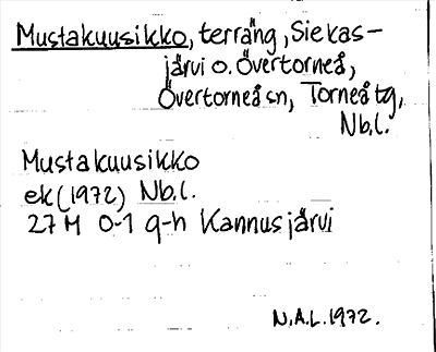 Bild på arkivkortet för arkivposten Mustakuusikko