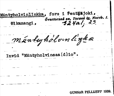 Bild på arkivkortet för arkivposten Mäntyholvinlinkka