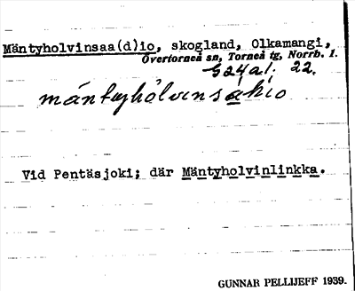 Bild på arkivkortet för arkivposten Mäntyholvinsaa(d)io