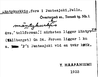 Bild på arkivkortet för arkivposten Mäntykurkkio