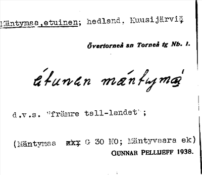 Bild på arkivkortet för arkivposten Mäntymaa, etuinen