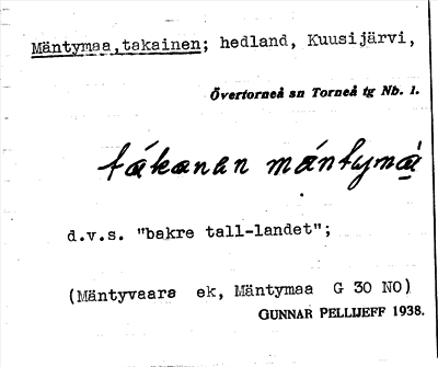Bild på arkivkortet för arkivposten Mäntymaa, takainen