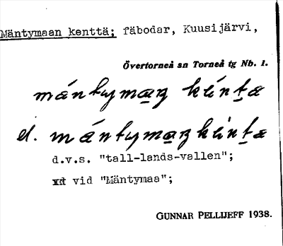 Bild på arkivkortet för arkivposten Mäntymaan kenttä